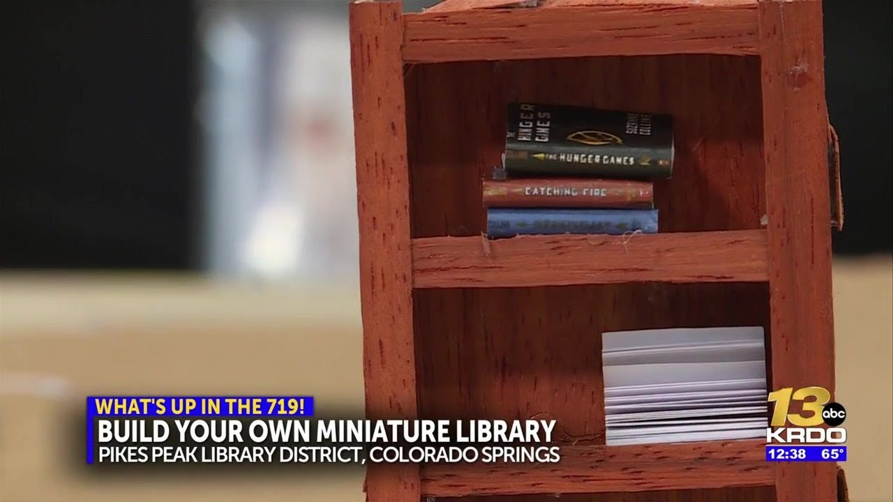 Teens can build their very own ‘miniature library’ for no cost with PPLD