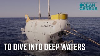 To Dive into Deep Waters: The Story of the Shinkai 6500