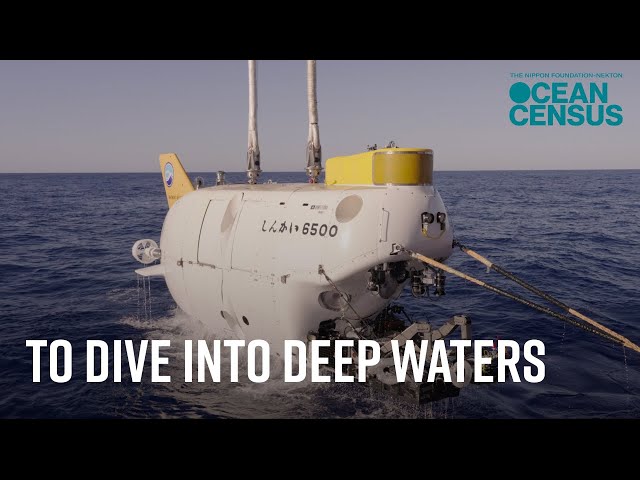 To Dive into Deep Waters: The Story of the Shinkai 6500 - YouTube