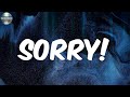SORRY Lyrics Sean Leon mp3