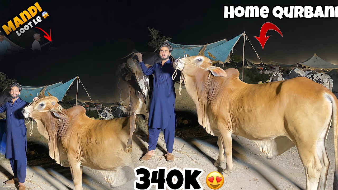 Alhumduillah Soda Done Mandi Loot Le 🤩 | i-12 Mandi Update ❤️ |