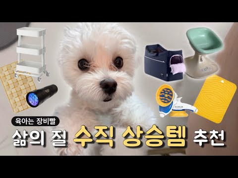 (FULL) 초보 반려인을 위한 강아지 용품 추천템 TOP 6!