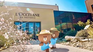 Line Friends X L’Oréal Paris and L’OCCITANE En Provence