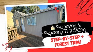 How To Remove & Replace A Small Section Of T1-11 Siding On The Back Side Of The House & Forest Trim Removing T1 11 Siding