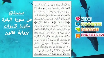 تكرار صفحة 8من سورة البقرة برواية قالون ،قراءة سريعة بداية من "وإذ نجيناكم من آل فرعون" ...