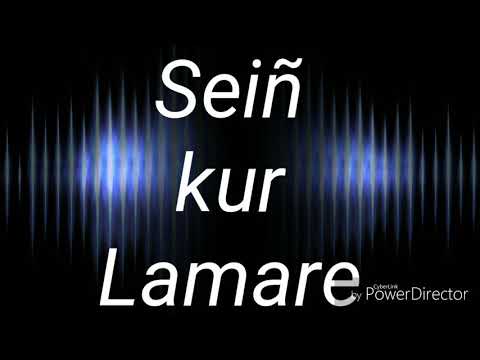 Sei&ntilde; kur lamare song