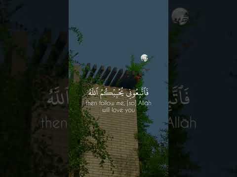 فارس عباد تلاوه قصيره