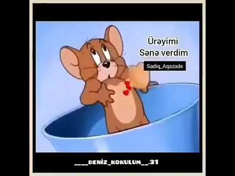 WhatsApp   ucun gulmeli video