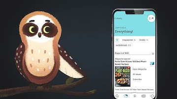 Getting Started With the Libby App