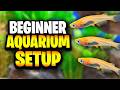 The Best Low-Tech Planted Aquarium Equipment For Beginner Setups!