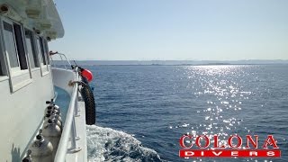 Egypt Red Sea diving  2015