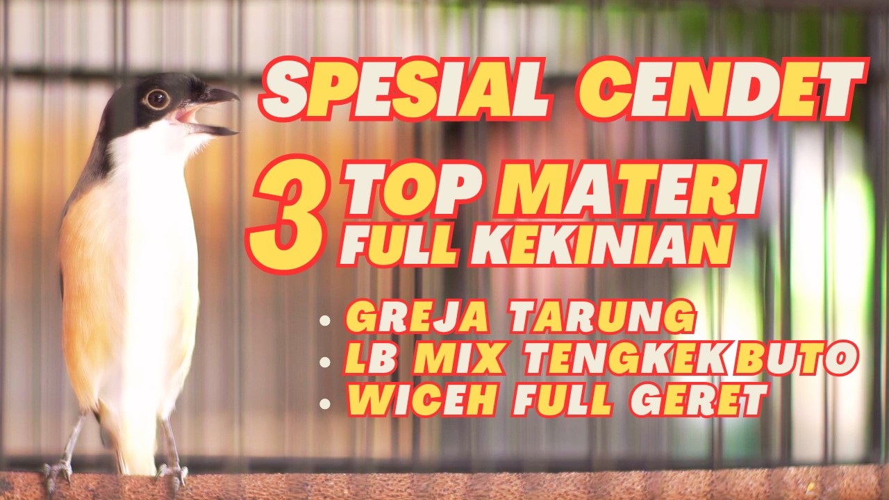 CENDET MEWAH 3 MATERI TOP FULL KASAR GREJA TARUNG TENGKEK BUTO WICEH FULL GERET COCOK UNTUK MASTERAN