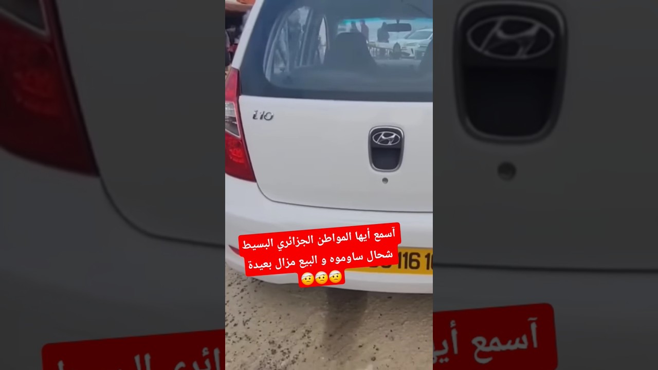 آسمع أيها المواطن الجزائري البسيط شحال ساوموه في السيارة و البيع قالكم مزالها بعيدة !؟ تبقى بلى راس