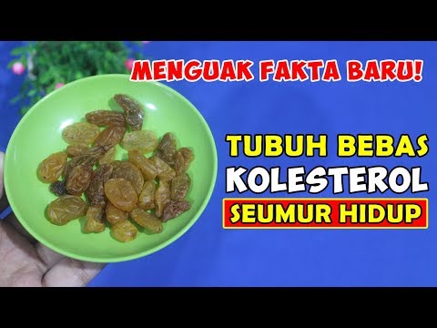 MAKAN BEBERAPA BIJI, KOLESTEROL TINGGI DALAM TUBUH NORMAL SAMPAI KITA TUA NANTI || GERAI SEHAT