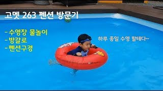 [체험] 고멧263 방문기