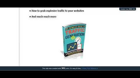 Newbies Guide to Traffic Generation Review