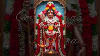 Murugan Swamy WhatsApp Status _ Om Muruga Arogara ♥️♥️♥️.
