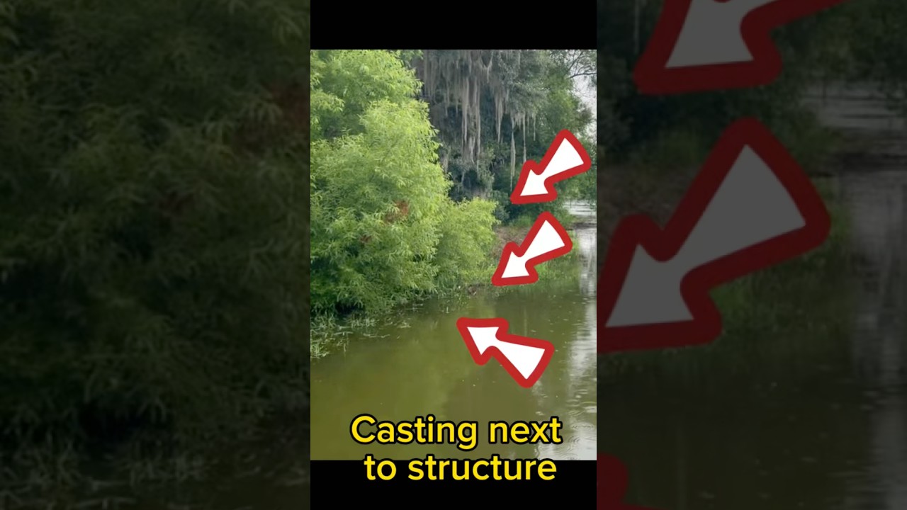 Easiest Way To Catch a Bass🌴🎣 #bassfishing #fishing #bassfishingnation