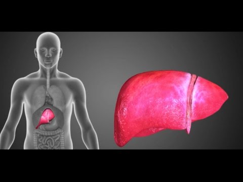 Video: Može li se ciroza jetre preokrenuti prirodnim putem?