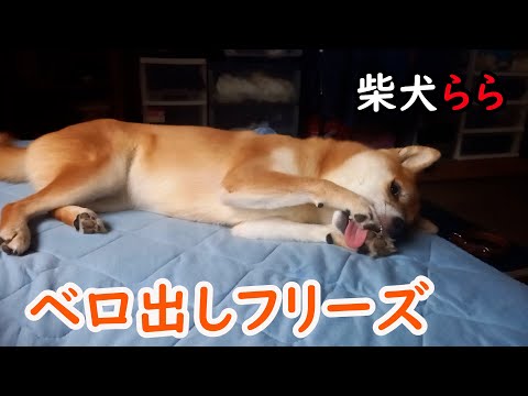 ベロ出しフリーズ