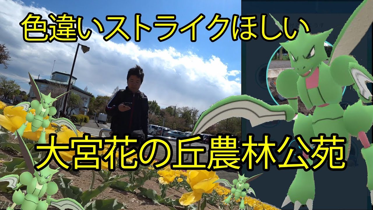 ポケモンｇｏ ストライクの色違いを求め チューリップ咲き誇る花の丘へ Youtube