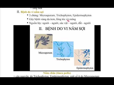 Video NẤM DA P.1 I BỆNH LÍ DA LIỄU Y5 I MD.BAO DUYEN - YouTube