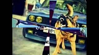 كنت ماشي بالسيارة بسرعة   ناااااار