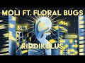 Moli ft. Floral Bugs - Riddikulus