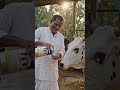 Gau Udder H Liquid से पाएं ज्यादा दूध और मजबूत थन | डेयरी किसानों के लिए खास फॉर्मूला