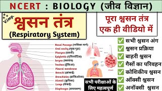 श्वसन तंत्र | Respiratory system | respiratory system in hindi | Biology | Study vines official