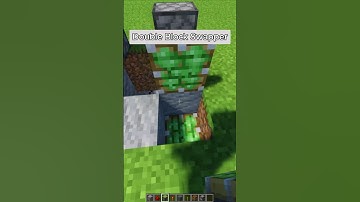 Double Block Swapper  #minecraft #minecraftbuilding #shorts