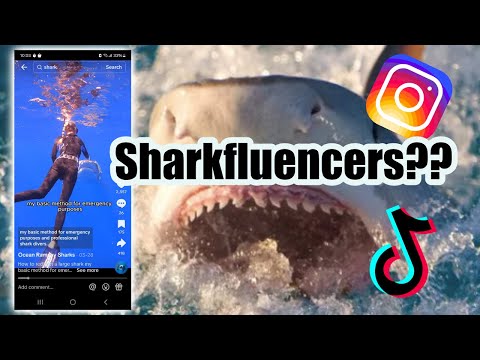 The Real Victims Of The Sharkbae Leak