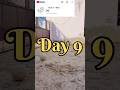 ⚽ 56 Subscribers = 56 Football Kicks Challenge! Day 9 🔥