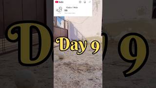 ⚽ 56 Subscribers = 56 Football Kicks Challenge! Day 9 🔥