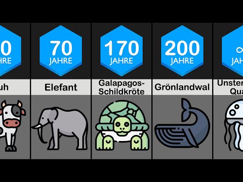Tiere mit der