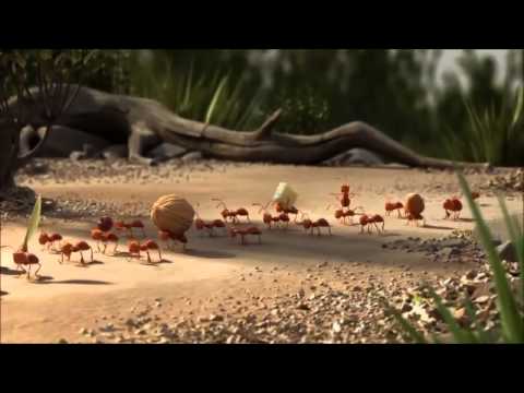 ROLLIN` SAFARI - what if animals were round?