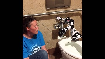 gishwhes 2015 Item #13 - Crowley Robot