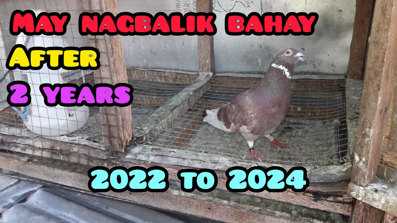 MAY NAGBALIK BAHAY AFTER 2 YEARS | 2022 to 2024