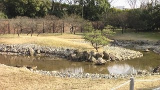 奈良 観光 特別史跡 特別名勝 平城京左京三条二坊 宮跡庭園 Kyūseki Teien Jan.2014