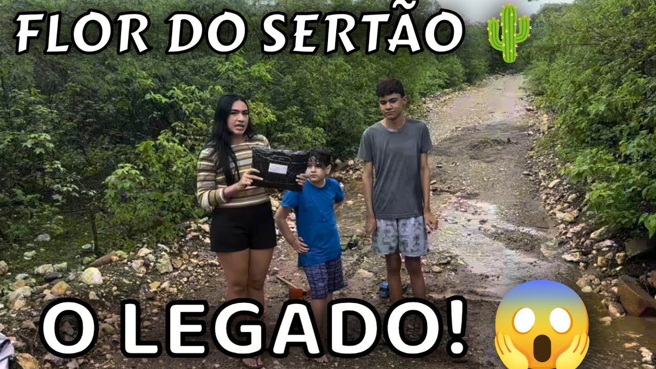 O LEGADO DA NOSSA FLOR DO SERTÃO 🌵 SERÁ QUE CONTINUA!😱 SERTÃO MAMOEIRO 🌵