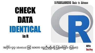 How to Check Data Identity in R Programming | R Check Data Identity Tutorial | Myanmar Guide