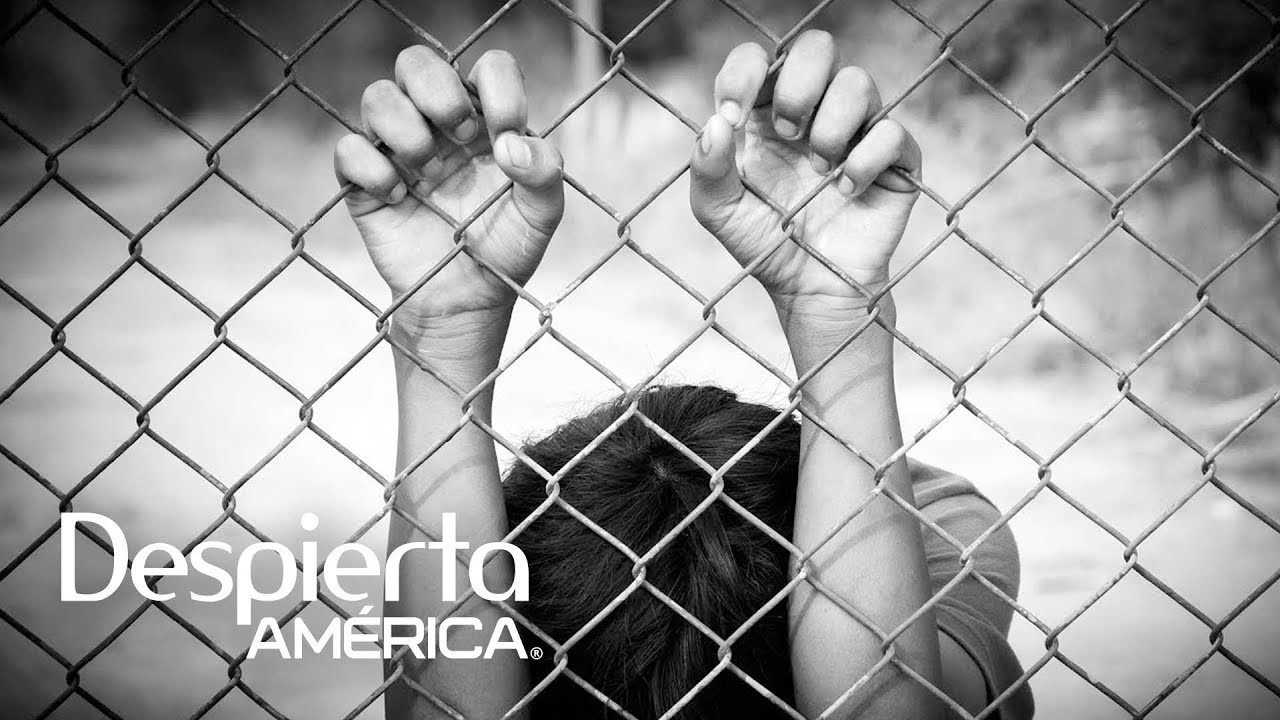 justiciar ¿Cómo afecta a los niños la 'cero tolerancia' de la frontera? | Dr. Juan