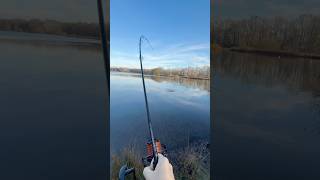 ANACONDA Power Carp CBX #karpfenangeln #carpfishing #karpfen #carplife #carpangler #fishing #carp
