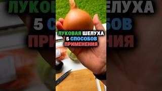 Луковая шелуха 5 способов применения
