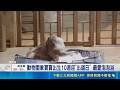 國際動物園新誕象寶寶