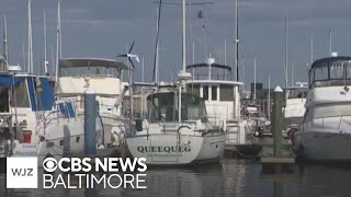 Harborview Marina to go up for auction Wednesday after abrupt closure