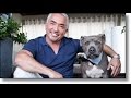 Officials Visited Millan’s Dog Training Center in Santa Clarita, California Officials Visited Millan’s Dog Training Center in Santa Clarita, California