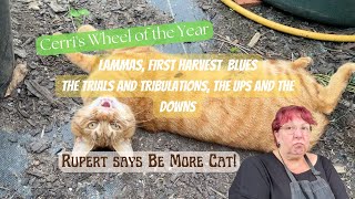 Lammas, First Harvest and magic cats.