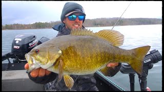Crushing BIG Pre-spawn Smallmouth Bass