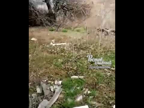 Гадюки на ст Мишкинская в Ростовской области 18.4.2019 Ростов-на-Дону Главный - YouTube